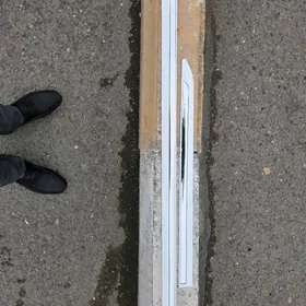 Molding palta okuz kelle