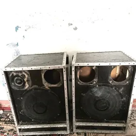 sredni 15 lik dinamik