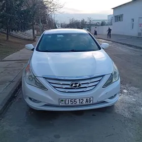 Hyundai Sonata 2010