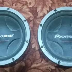 pioneer bocka