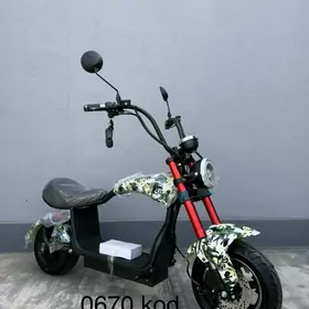 TIGIR MATOR PARTA HADINOK STOL