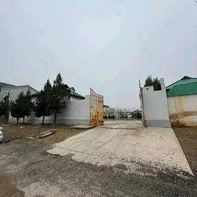 Çoganly 12 sotok plan jaÿ