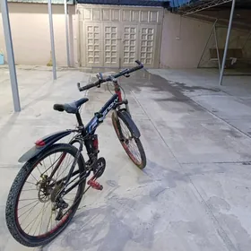 welik tigir skorostnoy