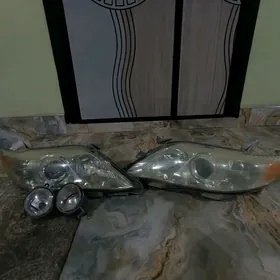 Camry öküz kelle morda far