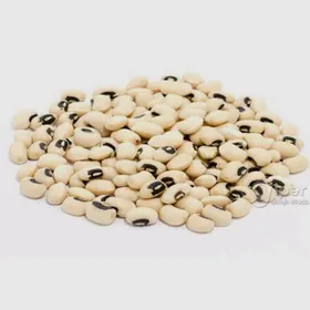 Noyba tohumluk we azyklyk