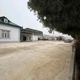 çoganly 12 sotok satlyk jaÿ