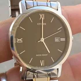 Sagat Часы Citizen.