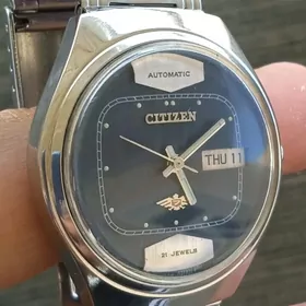 Sagat Часы Citizen.