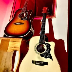 ELEKTRO  GITARA  KOMPLEKT 41