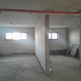 Taze gurtly padwal amatly