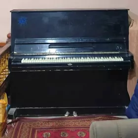 satlyk pianino