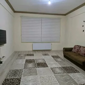 ARENDA JAY GURTLY 2 KOM