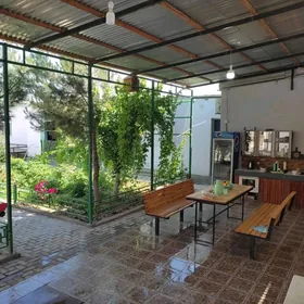 Gyyanly jay 5 otag срочно