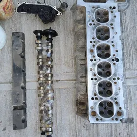 goly mator 2.5 1 vanus