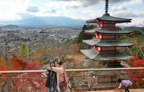 Японский город отменил фестиваль сакуры из-за наплыва туристов и их поведения