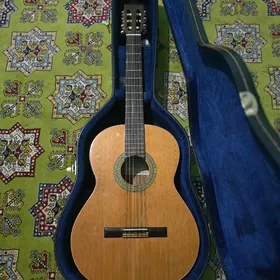 gitara tazeje