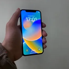 iPhone X