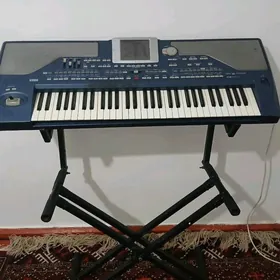 Korg Pa800 RAM256