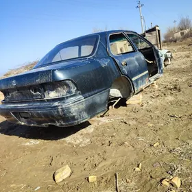 samsyk kemri rul gecen zapcasy