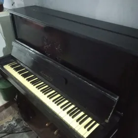 pianino