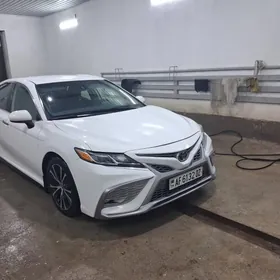 Toyota Camry 2020