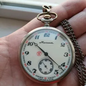 Sagat Часы карманные