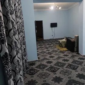 şaher ici howly jay