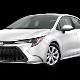 Corolla kalpak 3stuk