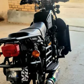 Fekon FK200-14G 2026