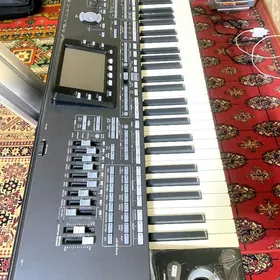 Korg pa3x