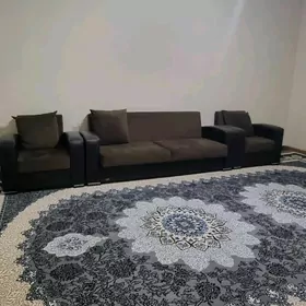 Arenda Jay Gurtly Polu-Elitka