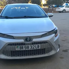 Toyota Corolla 2021