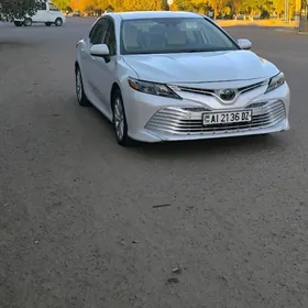Toyota Camry 2019