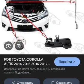 kapot tayak corolla
