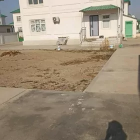 COGANLY KOTEŹ ARKAC GURLUSYK