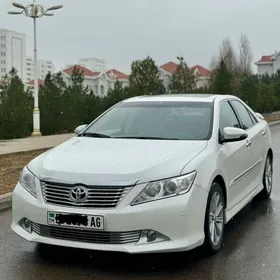 Toyota Aurion 2013