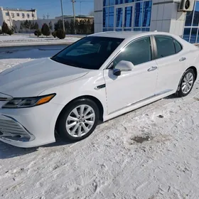 Toyota Camry 2020