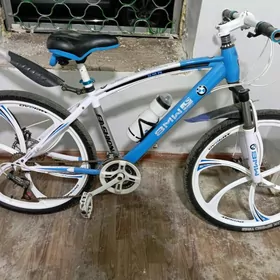 WELOSİPED BMW