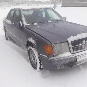 124 mersedes zastonka