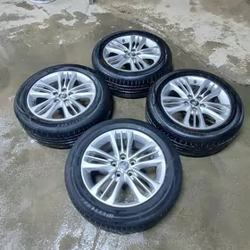 aziyada kemri disga taker R17