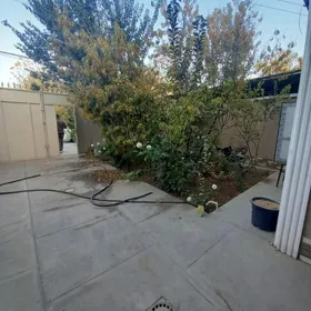 ПЛАНОВЫЙ ДОМ