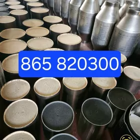 ARYKETEK KATALIZATOR GLUSHITEL