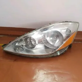 duty sienna fara cep tarap