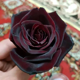 Bagbançylyk günlik iş