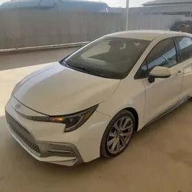 Toyota Corolla 2020