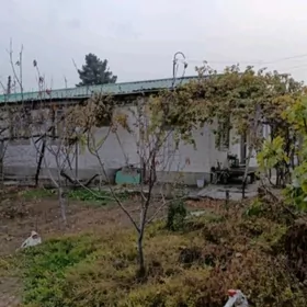 Безмеин дом Bezmein plan jay