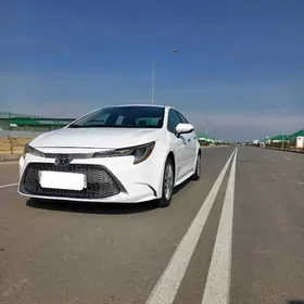 Toyota Corolla 2021