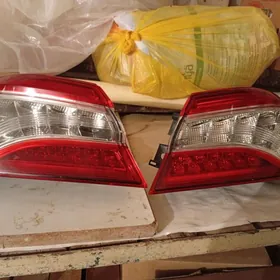 Camry Haliji Fara Stop