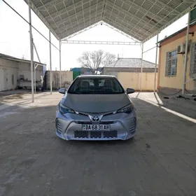 Toyota Corolla 2019