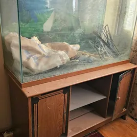 Аквариум большой